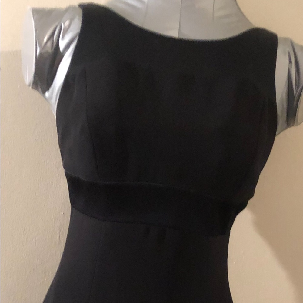 Andrea Polizzi for Rex Lester Petite Dress